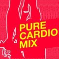 Pure Cardio Fitness Music Mix