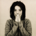 Björk Tribute Mix
