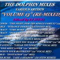 THE DOLPHIN MIXES - VARIOUS ARTISTS - ''VOLUME 13'' (RE-MIXED)