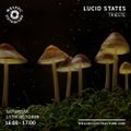 Lucid States with Trieste (October '22)