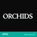 ORCHIDS - 14.11.22