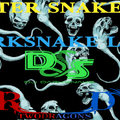 Darksnake Special Techno "After Snake 94" Radio TwoDragons 29.5.2022