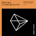 Stereo Underground - April 2020 Deep State Live Show