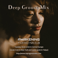 Deep Groove Mix vol.13