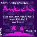 Steve Optix Presents Amkucha on Kane FM 103.7 - Week Eighty One