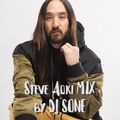 STEVE AOKI MIX Mixed by DJ SONE