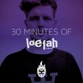 30 Minutes of Bass Education #1 - Loefah