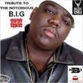 NIGEL B (TRIBUTE TO THE NOTORIOUS B.I.G)