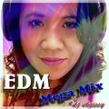EDM Mega Mix