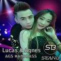 AGS HardBaxx 2019 ( Private Hardstyle Mix for Lucas & Agnes) - Sean B