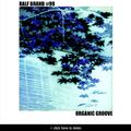 Ralf Brand #99 - Organic Groove