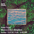 Field Trips - Mexico City X Brighton - 12th July 2020