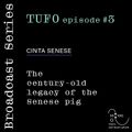 Cashmere Guest Mixes TUFO #3 – Cinta Senese 01.02.212021