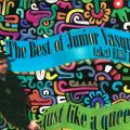 Junior Vasquez - Just Like A Queen -The Best Of Junior Vasquez Aka Ellis D [1995]