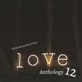 DJ Handsome & DJ Von - Love Anthology 12