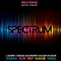 SPECTRUM - A Journey Through The Different Colours Of House - 08-2021