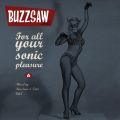 Buzzsaw Joint Vol1 (Fritz & Nice Sean)