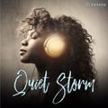 DJ Addams Quiet Storm Part II @ Art & Soul Lounge 03.11.2017