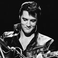 Elvis - Tribute