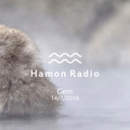 #52 Gem w/ Hamon Radio @Hot spring Nu-land, Kamata