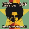 Redeye Liquid Kicks Volume 11