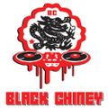 BLACK CHINEY - PEARL ALL WHITE ON THE BAY PROMO CD APRIL 2K14