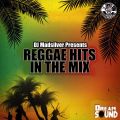 REGGAE HITS IN THE MIX
