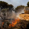 ¿Qué se puede hacer en invierno para prevenir los incendios forestales que se inician verano?