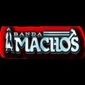 Mix Banda Machos