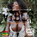 Unity Sound - Vibes v4 - Afrobeats Soca Dancehall Tropical - Nov 2023