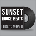 I like to move it !!!! -  Dance & Deep House Mix 2017 