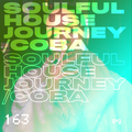 Soulful House Journey 163