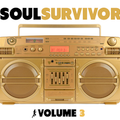 Soul Survivor, Vol. 3