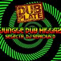 Jungle Dub Killaz - Sound Selecta Dj Serious D 2022