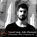Causal Loop: Joao Menezes - 26th November, 2016