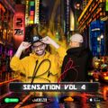 DJ TAYBEATZ & DJ 2SHORT - RNB SENSATION VOL. 4