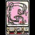 Diversity of Dub Vol.14 (Vinyl Mix) Sound System Smash