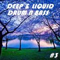 Deep & Liquid Drum N Bass #3