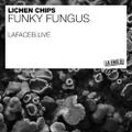 Lichen Chips | Funky Fungus 2020-06-10