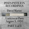 Part 1 of 3: David Marine . Underwear Party . Pavilion . Fire Island Pines . August 3, 1991