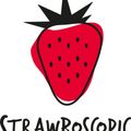 STRAWBOSCOPIC with Porridge Radio (06/09/2019)