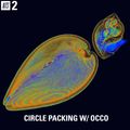 Circle Packing w/ Occo - 24th May 2021