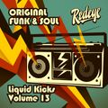 Redeye Liquid Kicks Volume 13