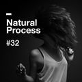 Natural Process #32