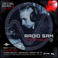 RadioSam LIVE at Spectral Breaks 002 - 22/04/22 (New Hardcore/Jungle Techno Mix)
