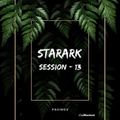 STARARK session #13
