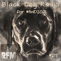 A Few Tunes with Black Dog Radio #219 (for #IWD2021)