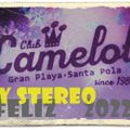 Camelot 2022 rey stereo