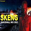 Skeng Mix 2022 Raw | Skeng Dancehall Mix 2022 | DJ Treasure Dancehall Mix 2022 | 18764807131