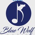 DJ D-Bo Blue Wolf Radio New Year Dance mix for 1/6/20